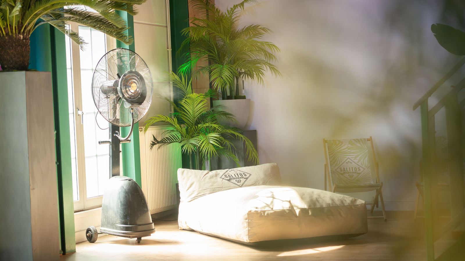 Loungebereich bei Tageslicht mit Sitzsack und Pflanzen